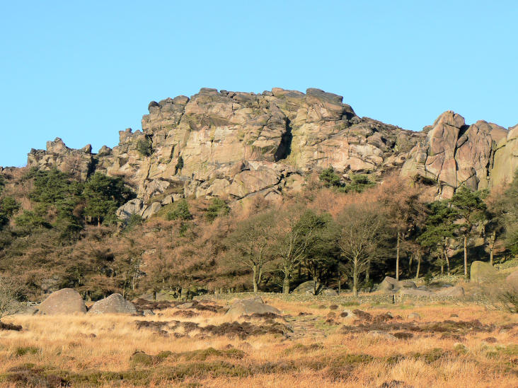 The Roaches The Roaches